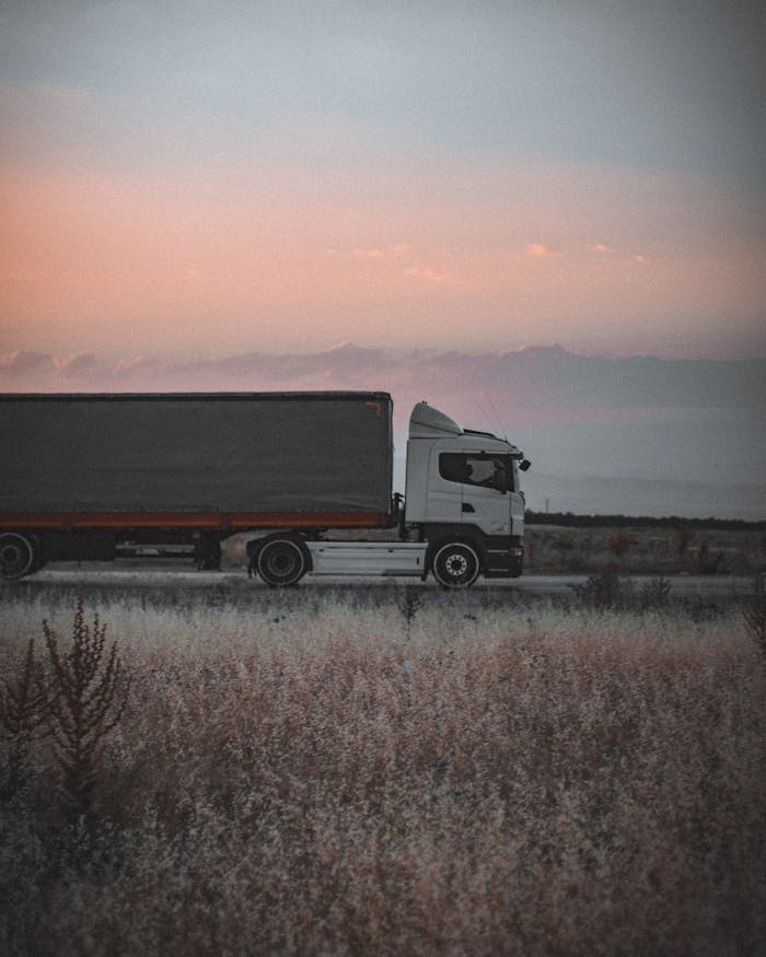 Transporte terrestre